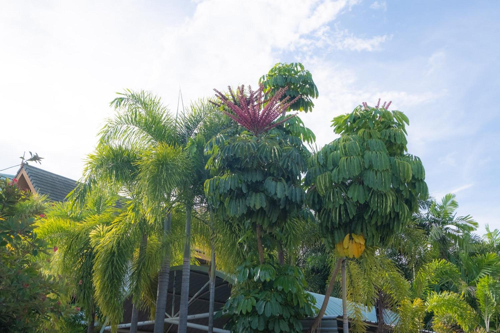 Blue Beach Grand Resort And Spa In Chalong Phuket By Dayuu Ban Saiyuan Eksteriør billede